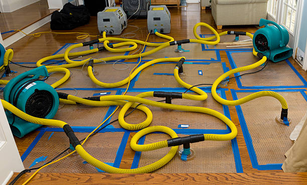 Professional Water Extraction technician working in Columbia, KY